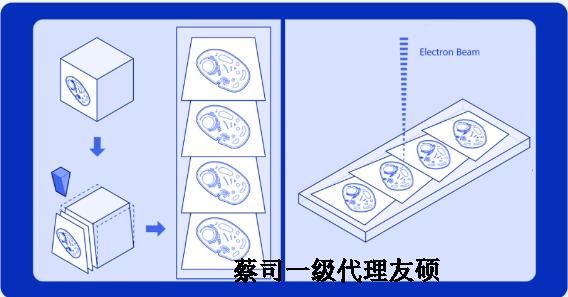 长寿蔡司长寿扫描电镜