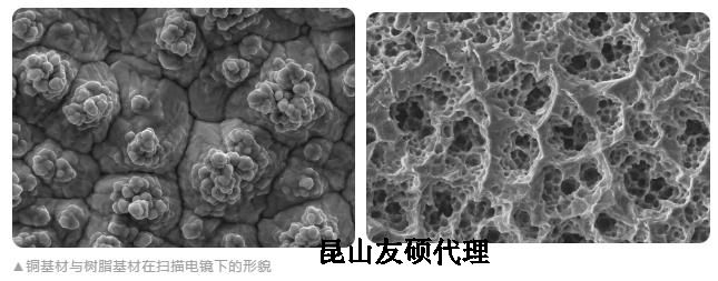 长寿蔡司长寿扫描电镜