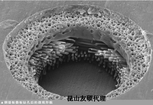 长寿蔡司长寿扫描电镜